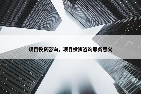 项目投资咨询，项目投资咨询服务意义