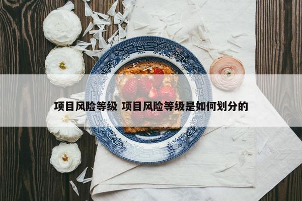 项目风险等级 项目风险等级是如何划分的