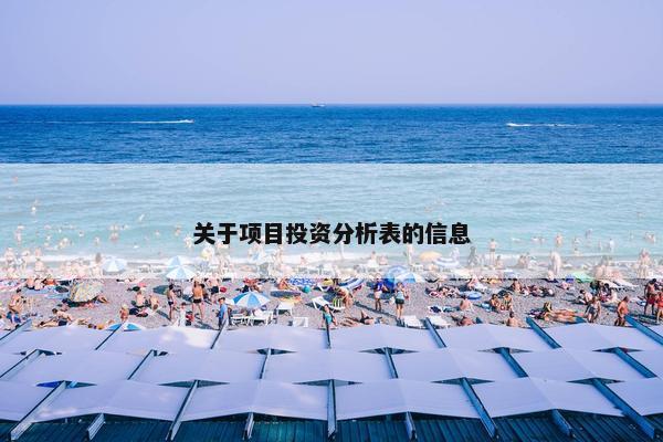 关于项目投资分析表的信息