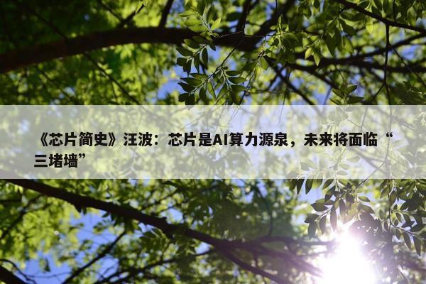 《芯片简史》汪波：芯片是AI算力源泉，未来将面临“三堵墙”