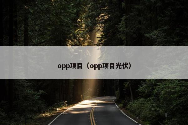 opp项目（opp项目光伏）