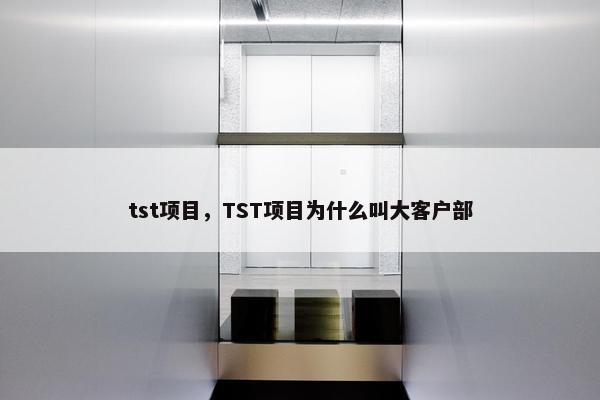 tst项目，TST项目为什么叫大客户部