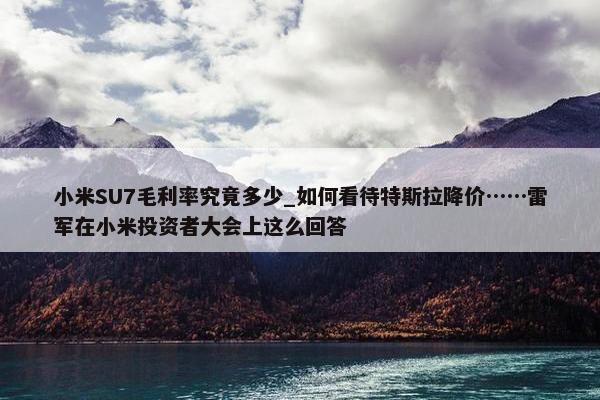 小米SU7毛利率究竟多少_如何看待特斯拉降价……雷军在小米投资者大会上这么回答