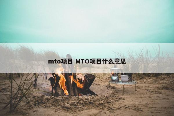 mto项目 MTO项目什么意思