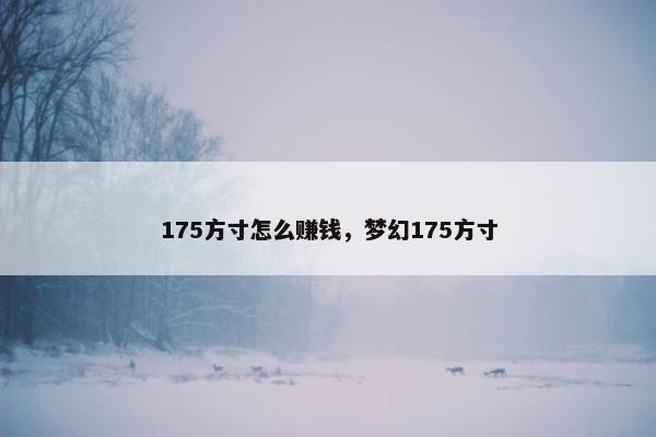 175方寸怎么赚钱，梦幻175方寸