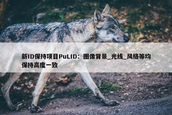 新ID保持项目PuLID：图像背景_光线_风格等均保持高度一致