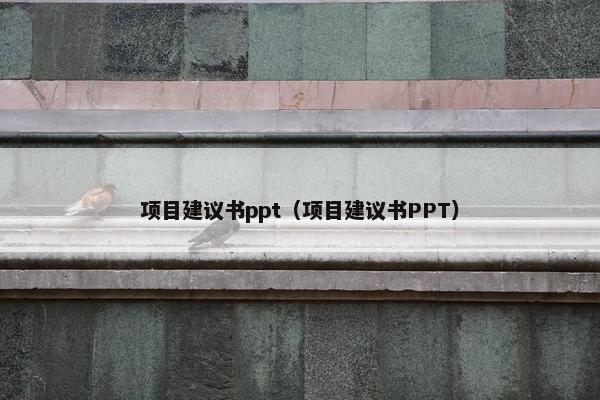 项目建议书ppt（项目建议书PPT）