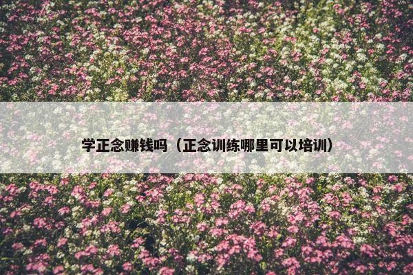 学正念赚钱吗（正念训练哪里可以培训）