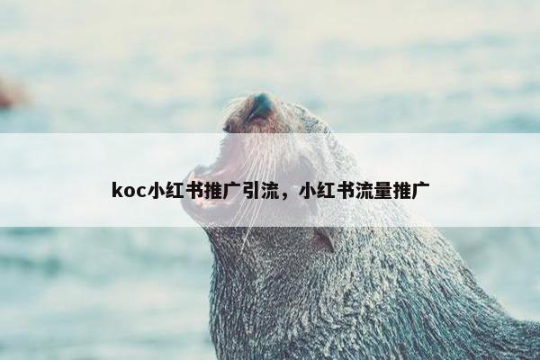 koc小红书推广引流，小红书流量推广