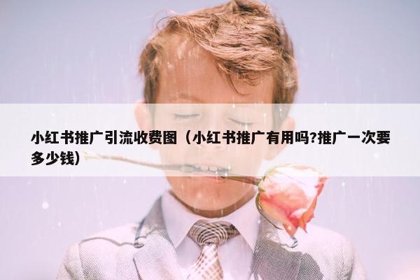 小红书推广引流收费图（小红书推广有用吗?推广一次要多少钱）