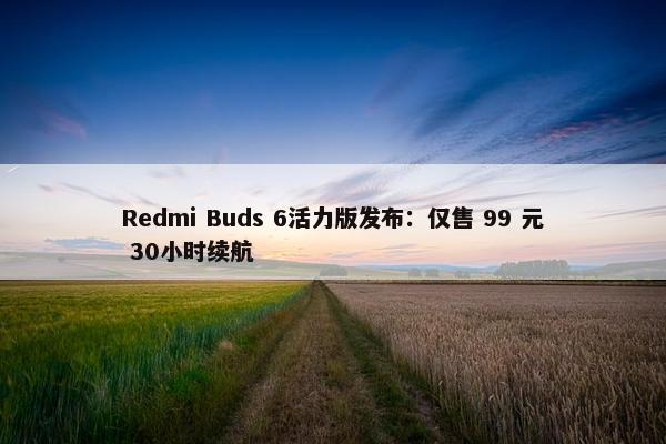 Redmi Buds 6活力版发布：仅售 99 元 30小时续航