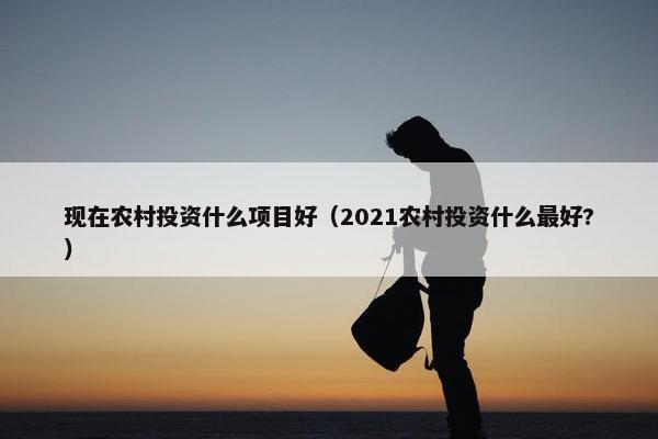 现在农村投资什么项目好（2021农村投资什么最好?）