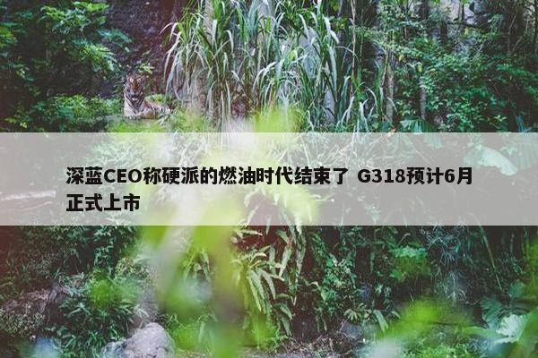 深蓝CEO称硬派的燃油时代结束了 G318预计6月正式上市