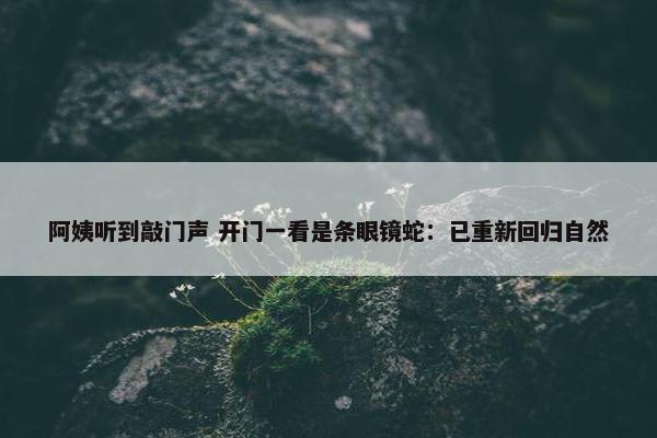 阿姨听到敲门声 开门一看是条眼镜蛇：已重新回归自然