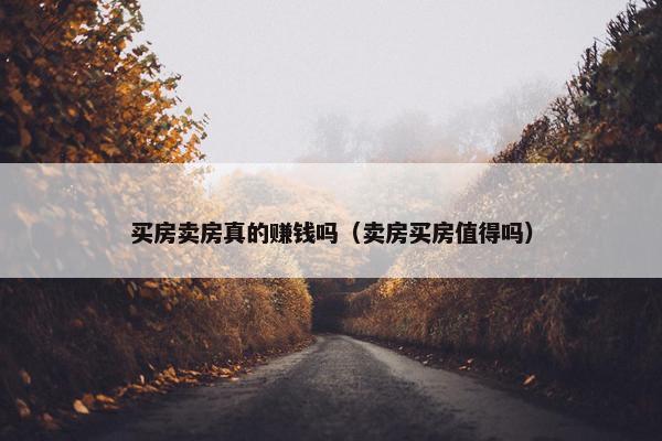 买房卖房真的赚钱吗（卖房买房值得吗）