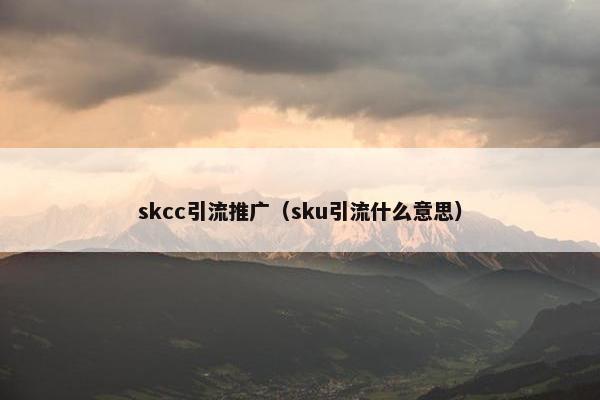 skcc引流推广（sku引流什么意思）