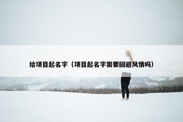 给项目起名字（项目起名字需要回避风情吗）