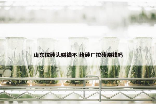 山东拉砖头赚钱不 给砖厂拉砖赚钱吗