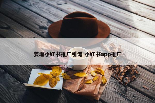 姜堰小红书推广引流 小红书app推广