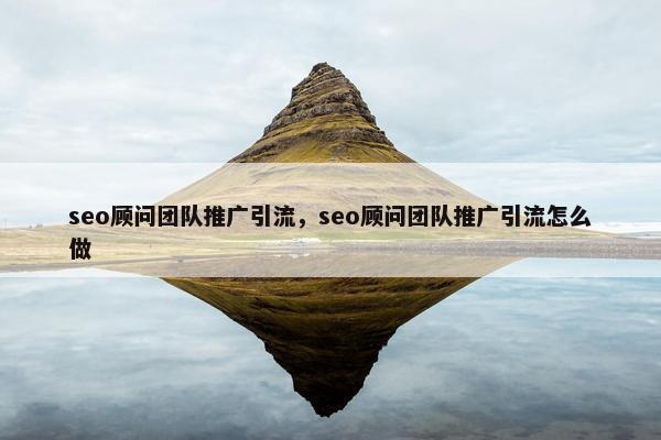 seo顾问团队推广引流，seo顾问团队推广引流怎么做