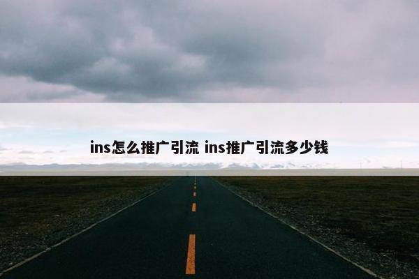 ins怎么推广引流 ins推广引流多少钱