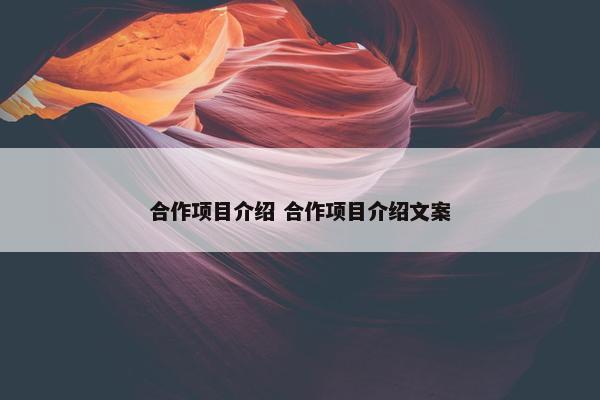 合作项目介绍 合作项目介绍文案