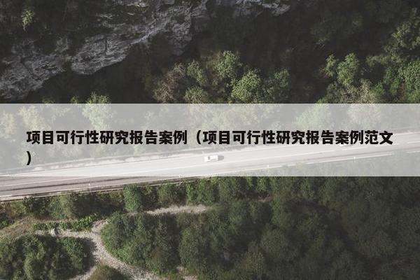 项目可行性研究报告案例（项目可行性研究报告案例范文）