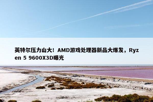 英特尔压力山大！AMD游戏处理器新品大爆发，Ryzen 5 9600X3D曝光