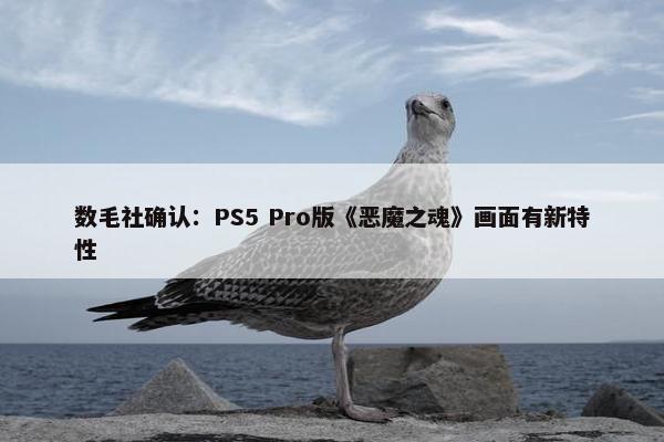 数毛社确认：PS5 Pro版《恶魔之魂》画面有新特性